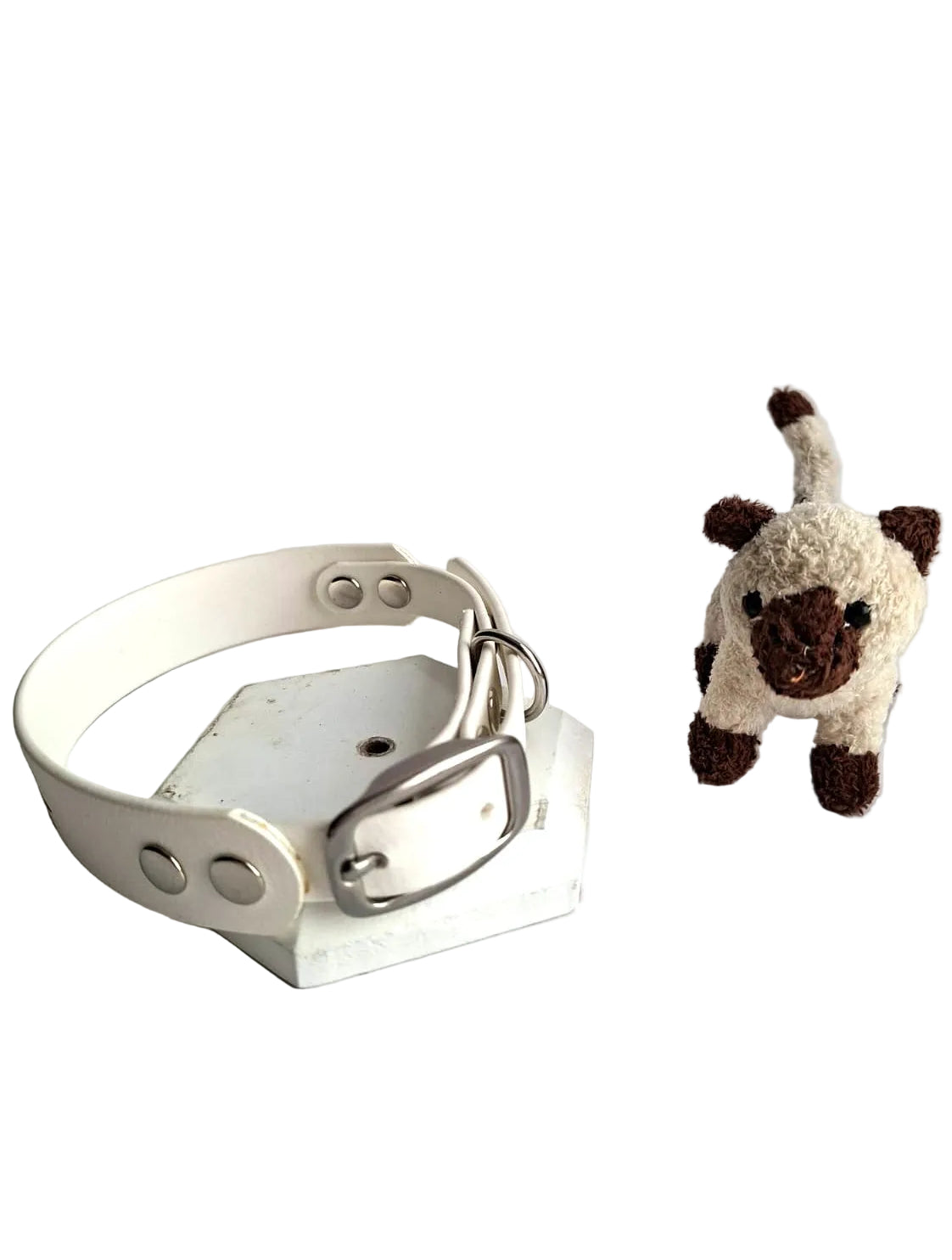Collier pour chien en biothane - Ourson