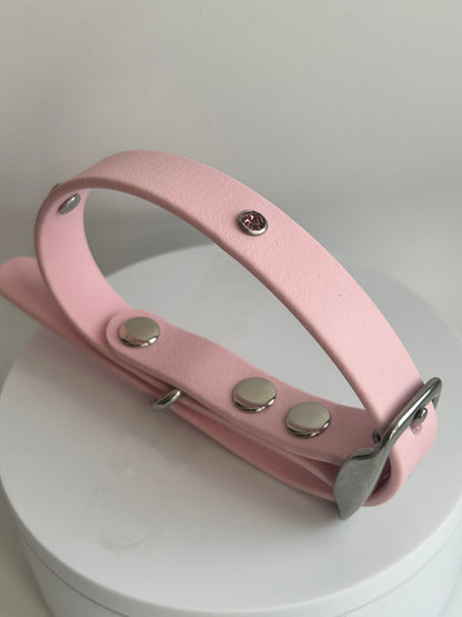 Collier pour chien taille S en  biothane avec strass