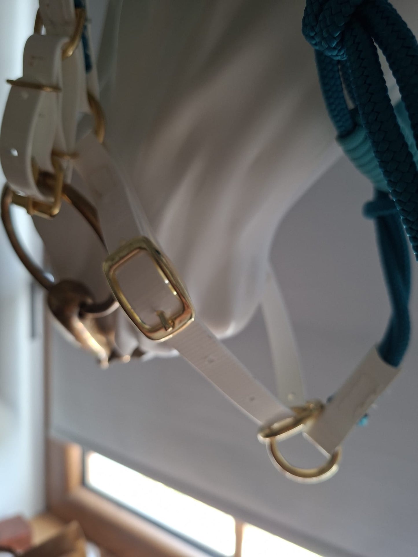 ✨👑 Collection Prestige – Bridon-Licol en Biothane pour chevaux 👑✨