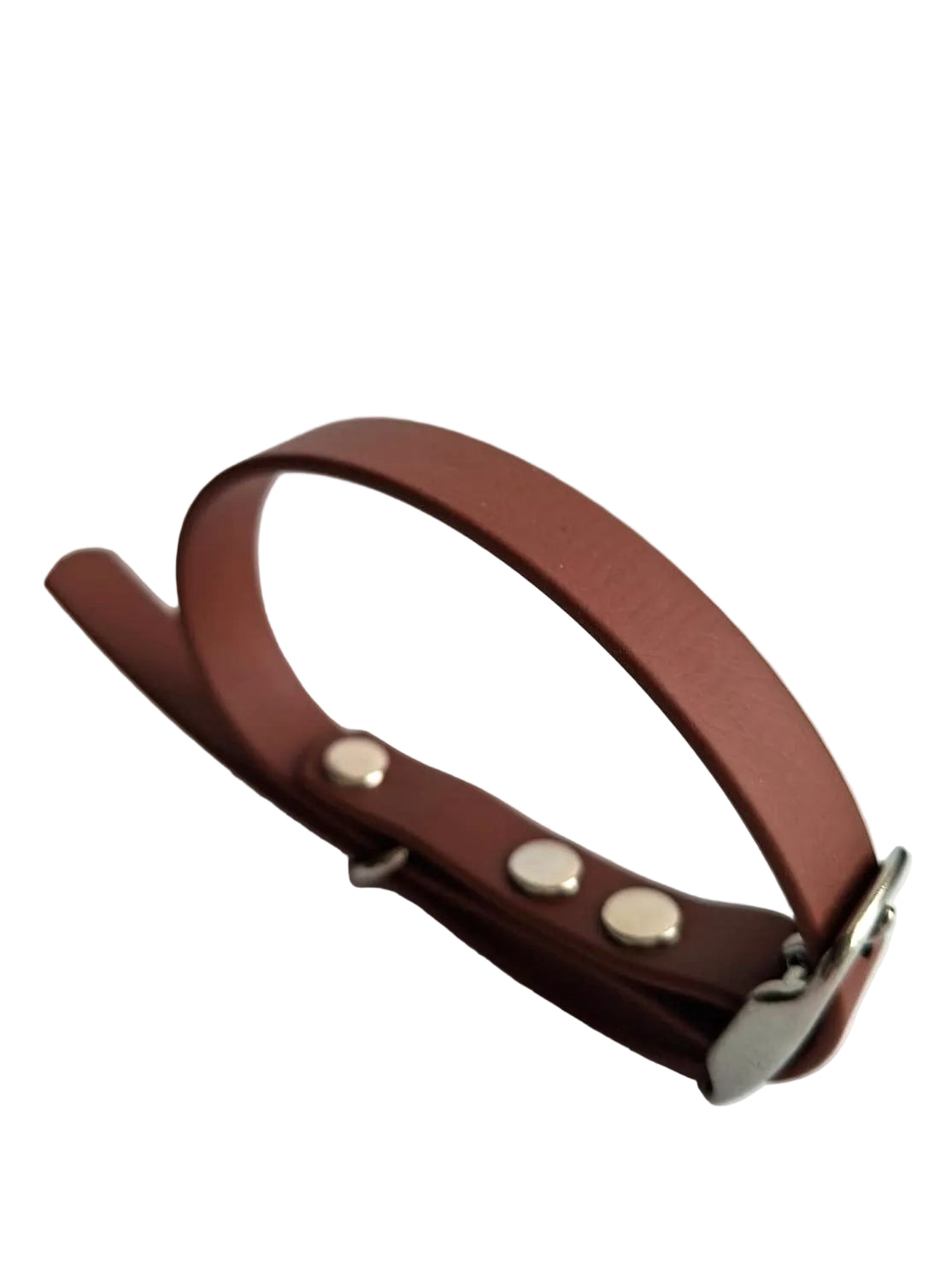 Collier pour chien en biothane