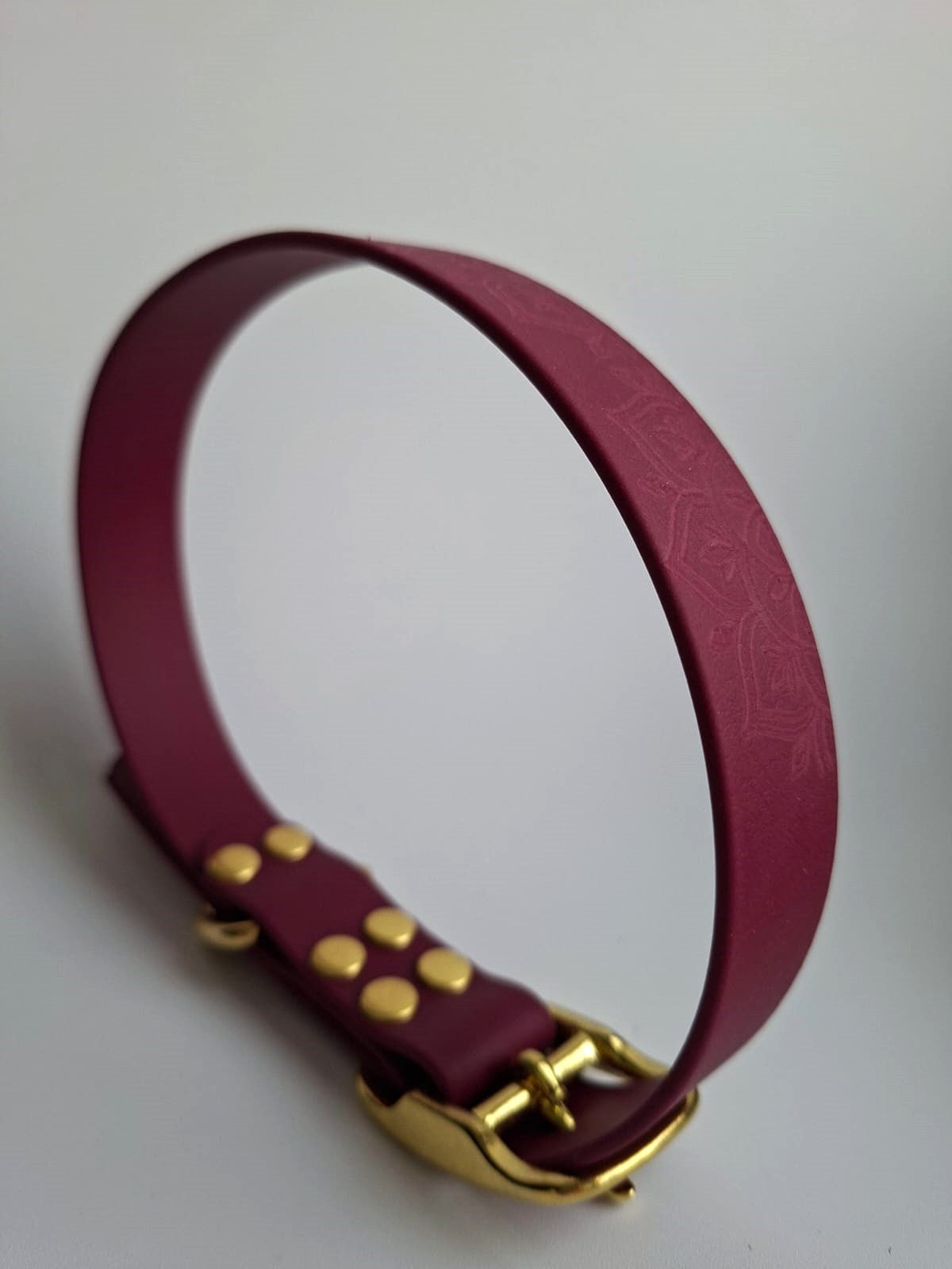 Collier pour chien en biothane - Mandala
