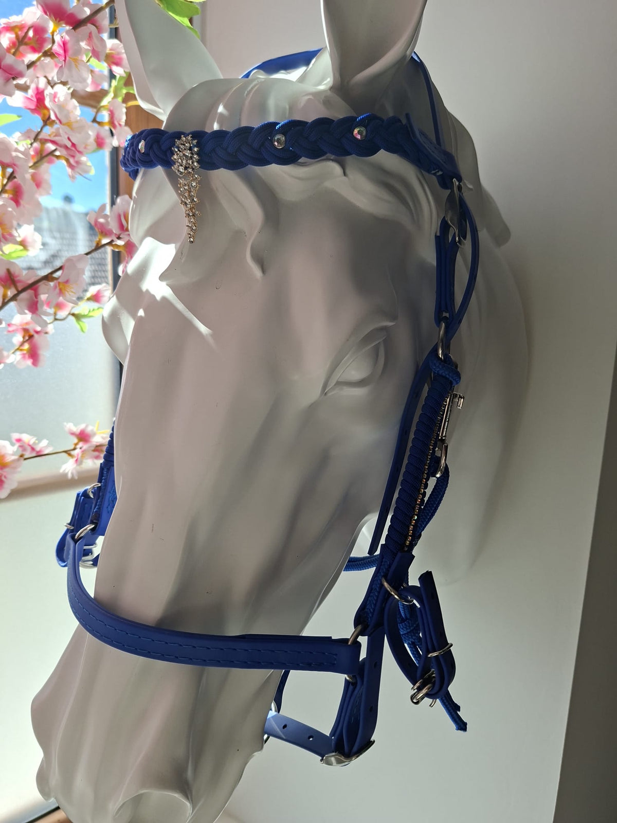 Bridon licol 3 en 1 bleu roi en Biothane et paracorde bleu roi avec bouclerie inox et ornements