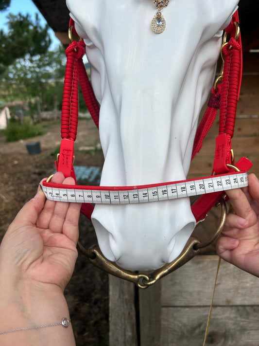 BRIDON LICOL 3 EN 1 — SUR MESURE 🐴 Demande de devis