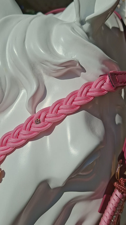 ✨Collection Prestige – Bridon-Licol en Biothane pour chevaux ✨