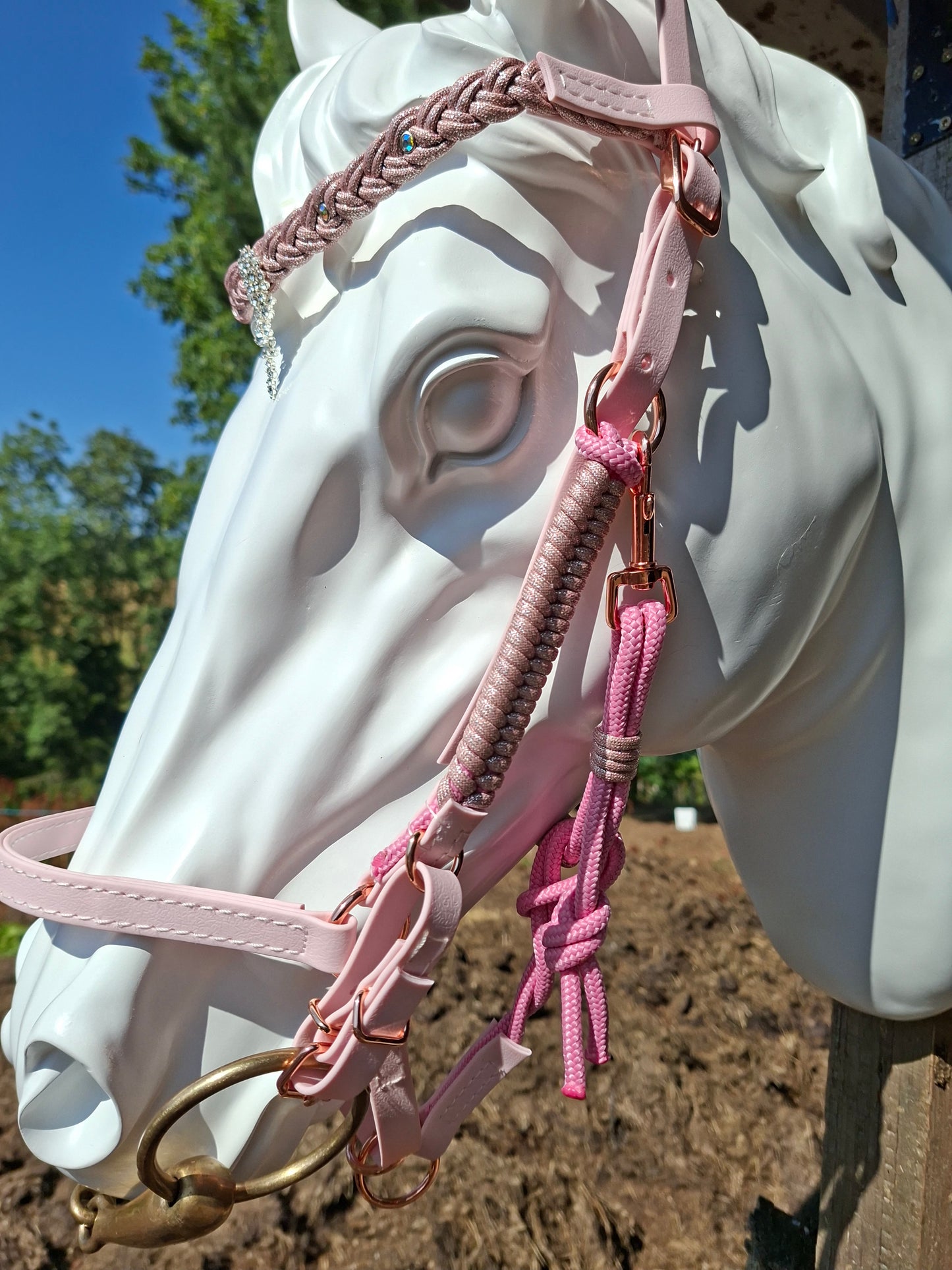 ✨👑 Collection Prestige – Bridon-Licol en Biothane pour chevaux 👑✨