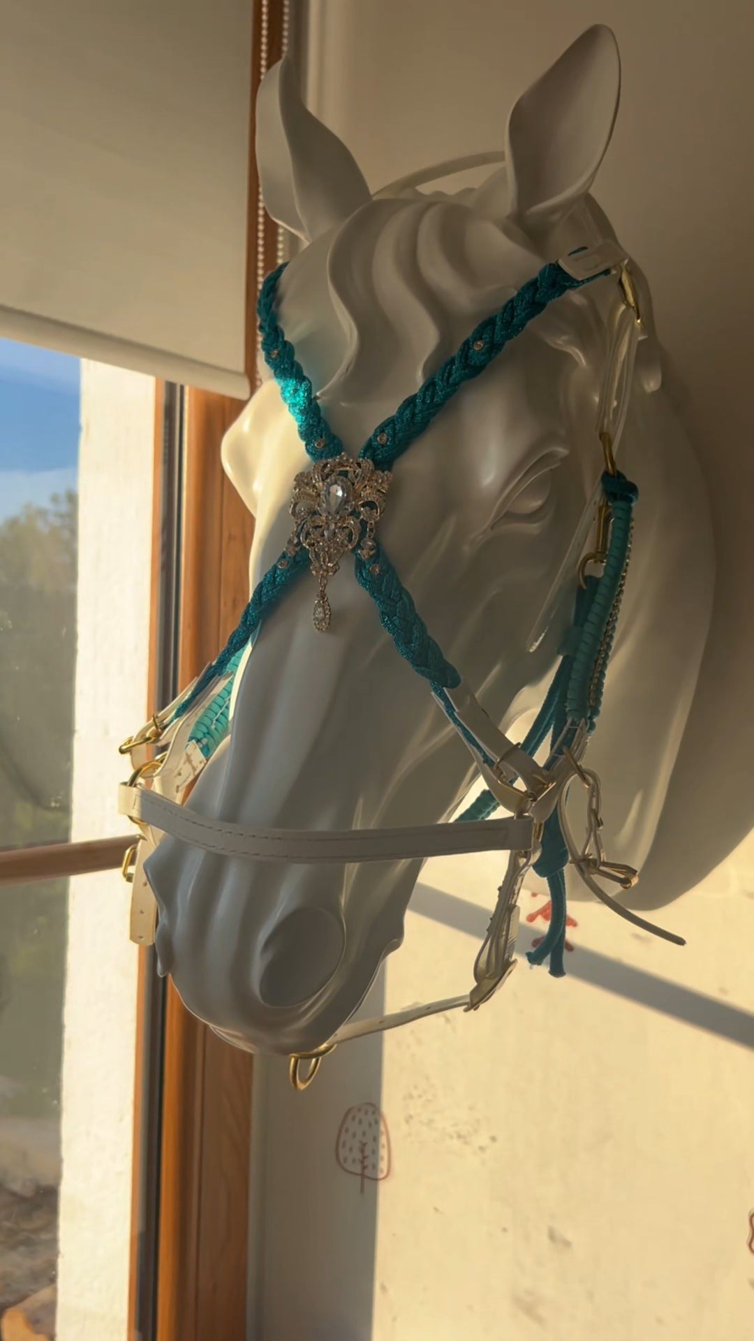 ✨Collection Prestige – Bridon-Licol en Biothane pour chevaux ✨
