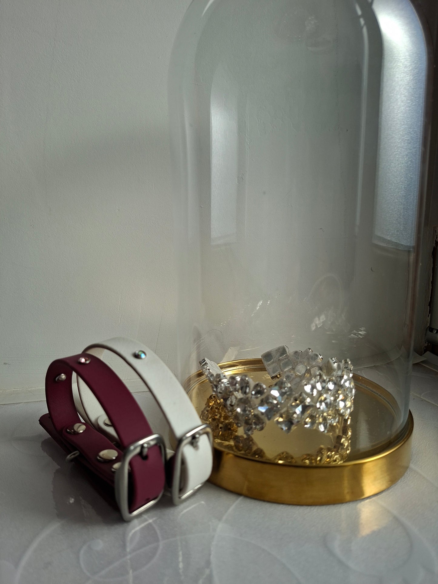 Collier pour chien en biothane - Strass