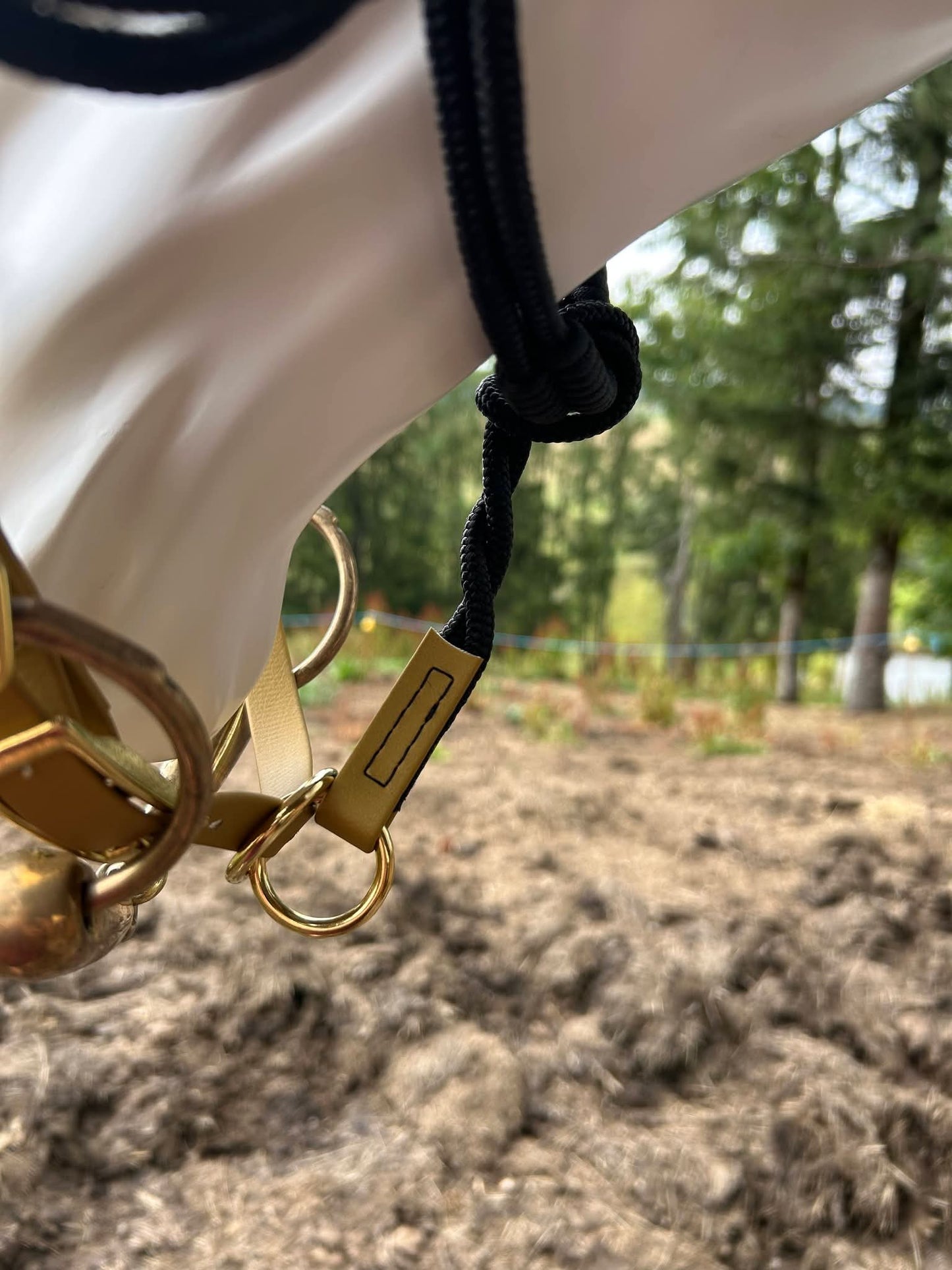 ✨👑 Collection Prestige – Bridon-Licol en Biothane pour chevaux 👑✨