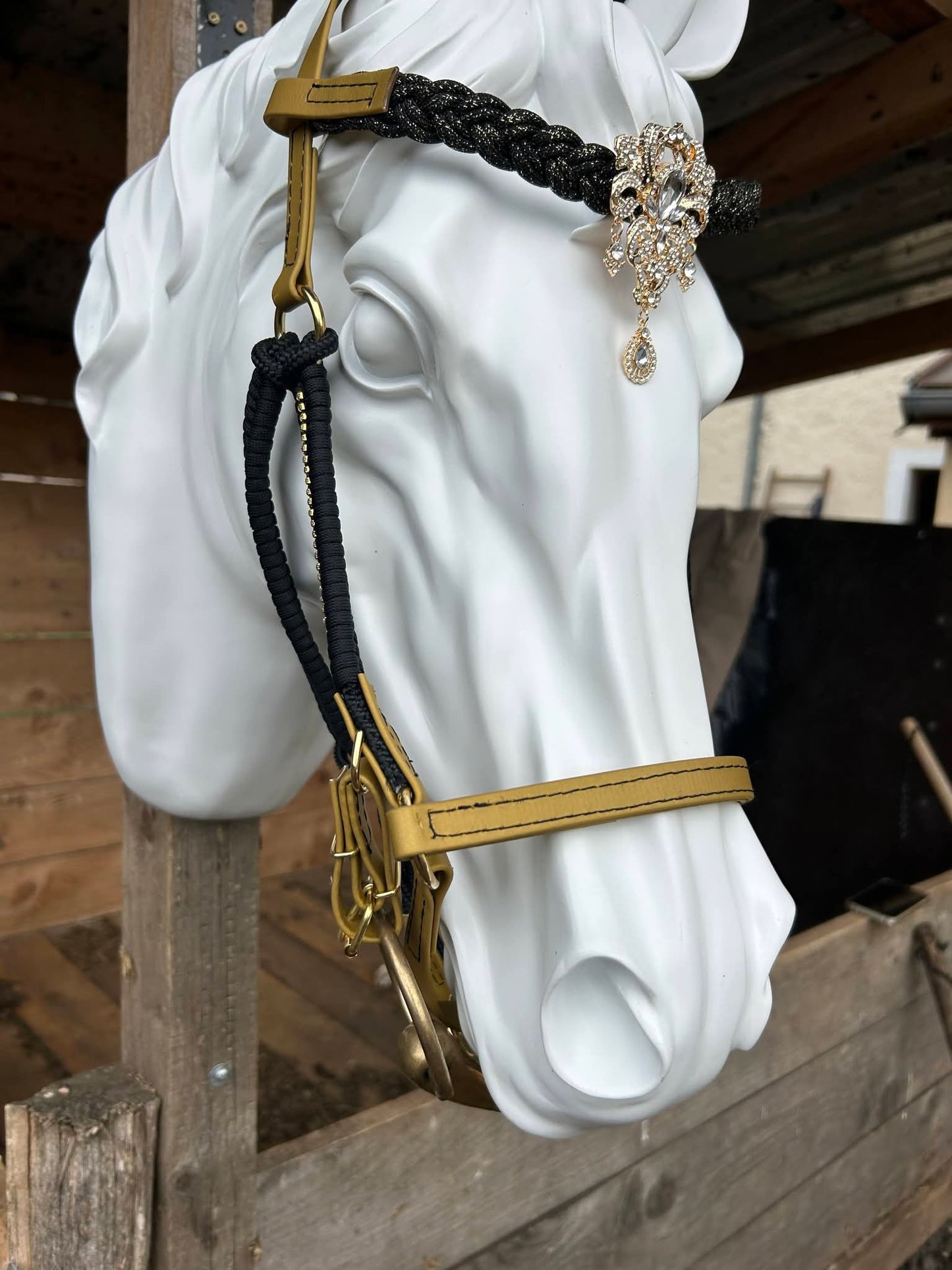 ✨👑 Collection Prestige – Bridon-Licol en Biothane pour chevaux 👑✨