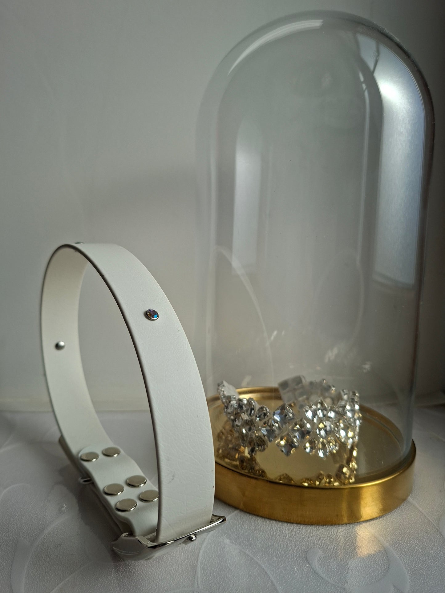 Collier pour chien en biothane - Strass