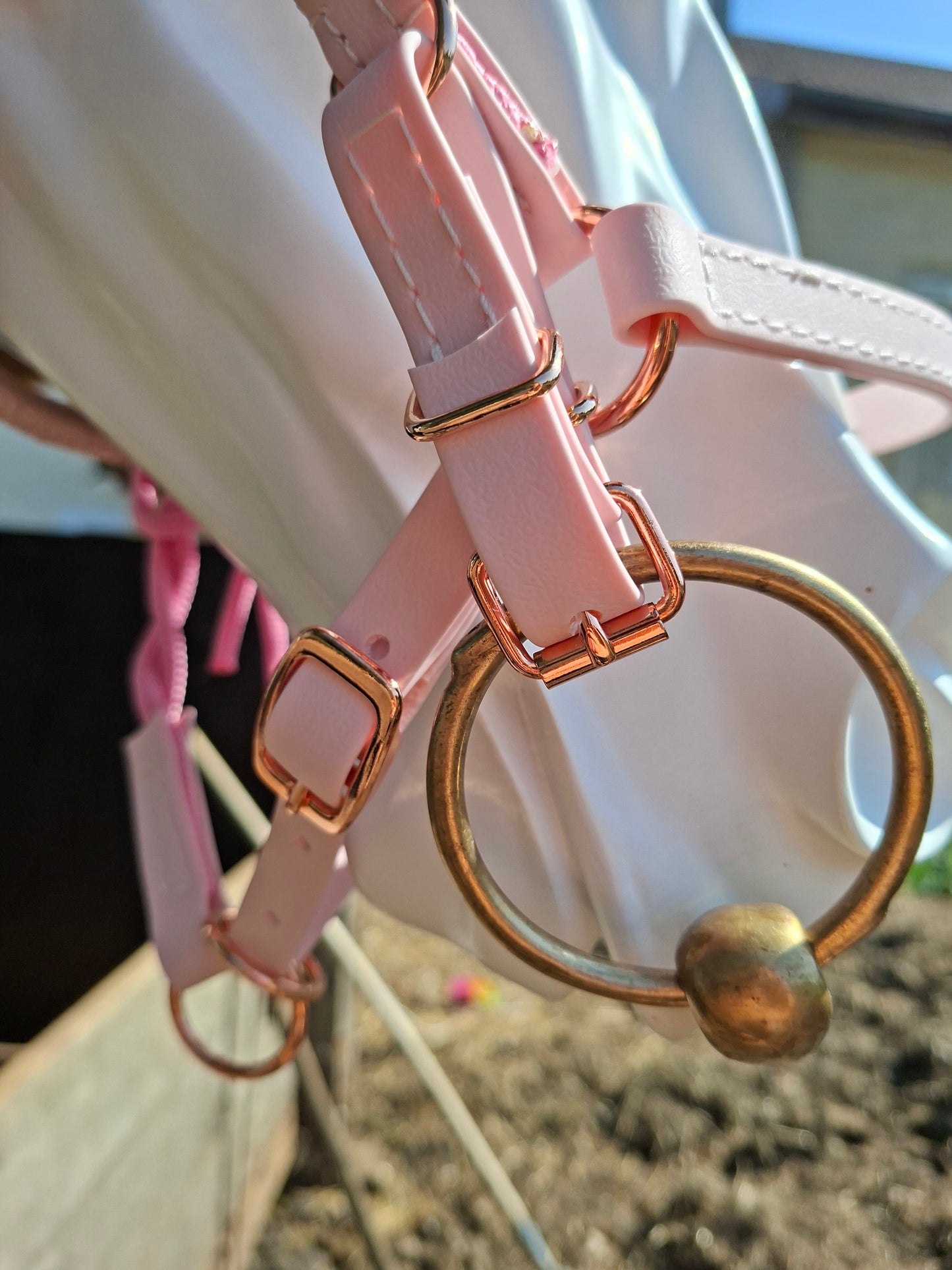 ✨👑 Collection Prestige – Bridon-Licol en Biothane pour chevaux 👑✨