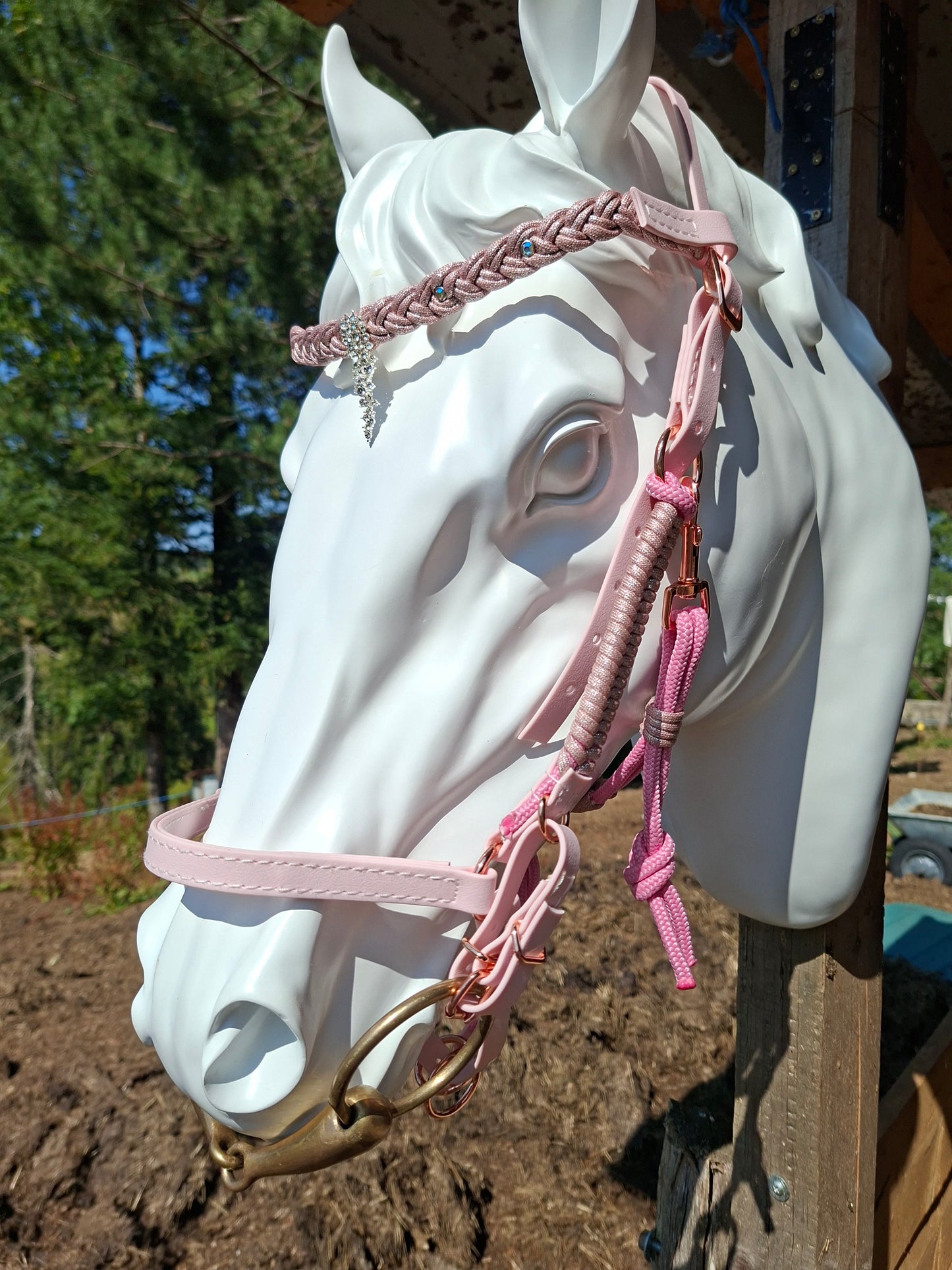 ✨👑 Collection Prestige – Bridon-Licol en Biothane pour chevaux 👑✨